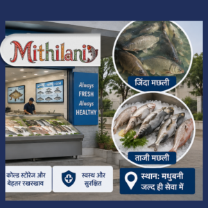 मधुबनी में खुलेंगे 2 हाईटेक फिश पार्लर, अब आसानी से मिलेगी जिंदा और ताजी मछली