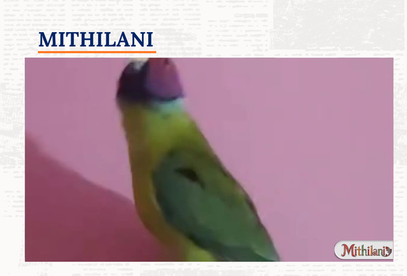 Mithilani