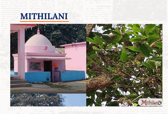 Mithilani