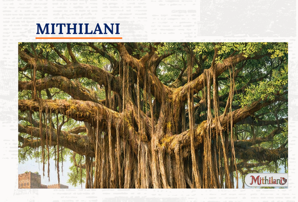 mithilani