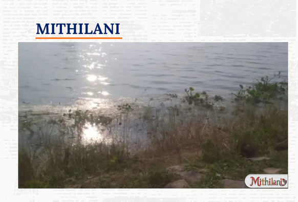 Mithilani