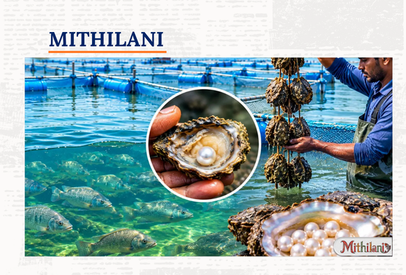 Mithilani